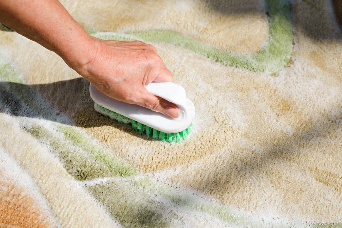 how to clean a carpet